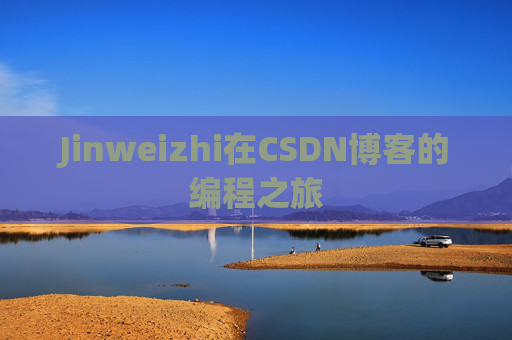 Jinweizhi在CSDN博客的编程之旅